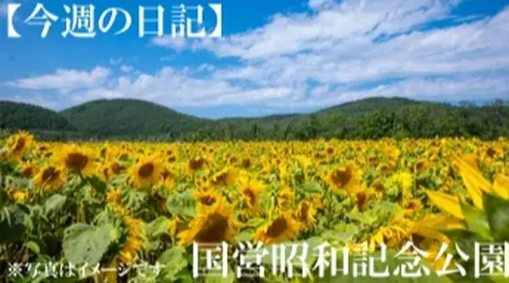 今週の日記は
「【今週の日記】国営昭和記念公園に行ってきました」
になります。